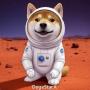 DogeStarX token