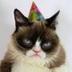 grumpy  logo