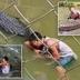Tourist Vs Crocodile logo