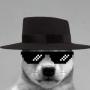 dark wif hat token