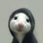 hamsterwifhood 幣種