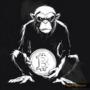 BitMonkey 币种