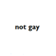 buy this shit if youre not gay logo