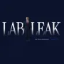Token NEW GOV LAB LEAK
