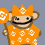 Token BUPS