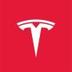 ✅TESLA AI logo