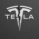 Rip Tesla logo