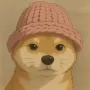 Token ghibli wif