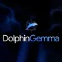 العملة الرمزية FIRST DOLPHIN LLM