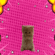 Pumpcat logo