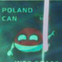 Token POLISH MEME IN SPACE