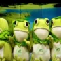Token The Straight Frog