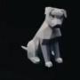 Tesla Dog token