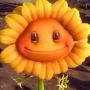 Токен FRIED SUNFLOWER