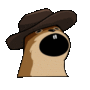 POPNUT  logo