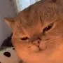 幣種圖標