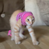 Ballerina Catuchina logo