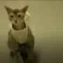 Token Justice for Artemis