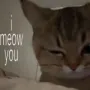 Token i meow you