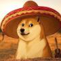 Токен Hispanic Doge