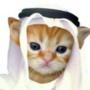 HABIBI トークン