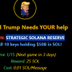 Strategic Solana Reserve logo