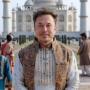 Token Pajeet elon