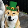 Token Floki Wif Hat
