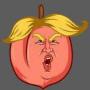 token Impeach Trump Again