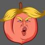 Impeach Trump Again 币种