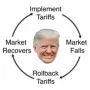 Token The trump cycle 
