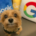 NEW GOOGLE HQ DOG logo