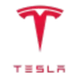 TESLA ON SOLANA logo