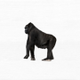 just an ape in a bear market logo