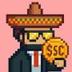 Stupid Coin logo