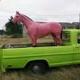 The pink pony logo