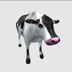 this ones a mooover logo