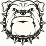 العملة الرمزية BLACK BULLDOG