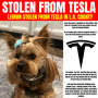 Токен Dog Stolen From Tesla