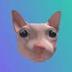 Bingus The Cat logo