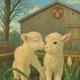 sheep couple logo