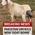Pakistan new bomb technology logo