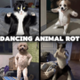 Dancing Animal Rot logo