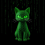 token mempet experiment