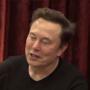 Token PROVE ELON WRONG