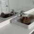 Cat In Sink logo