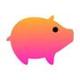 pig.dev logo