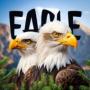 Big Bear Bald Eagle token