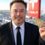 token Elon Bitcoin