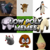 Low Poly Memes logo